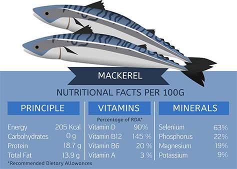 mackerel omega 3 per 100g